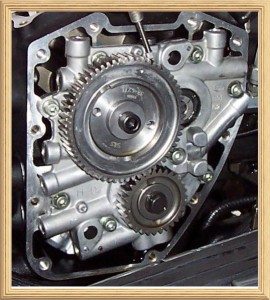 Harley Cam Gear Chain Replacement