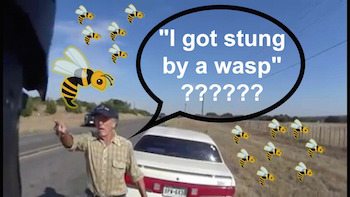 William Crumb Wasp Photo copy 2