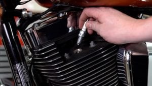 replace the spark plugs on your Harley