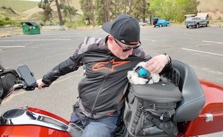 Best motorcycle dog carrier